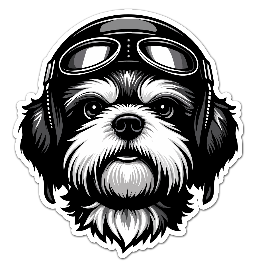 AceFx Логотип